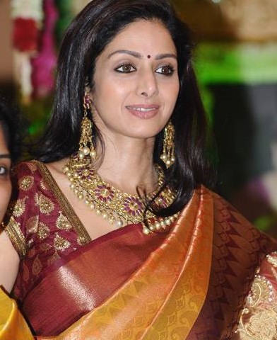  former Bollywood Diva wearing a gorgeous Kanjeevaram Sari South Indian 
