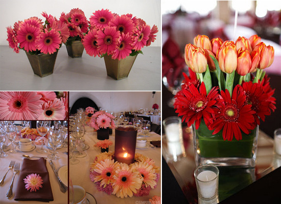 Gerbera Daisies